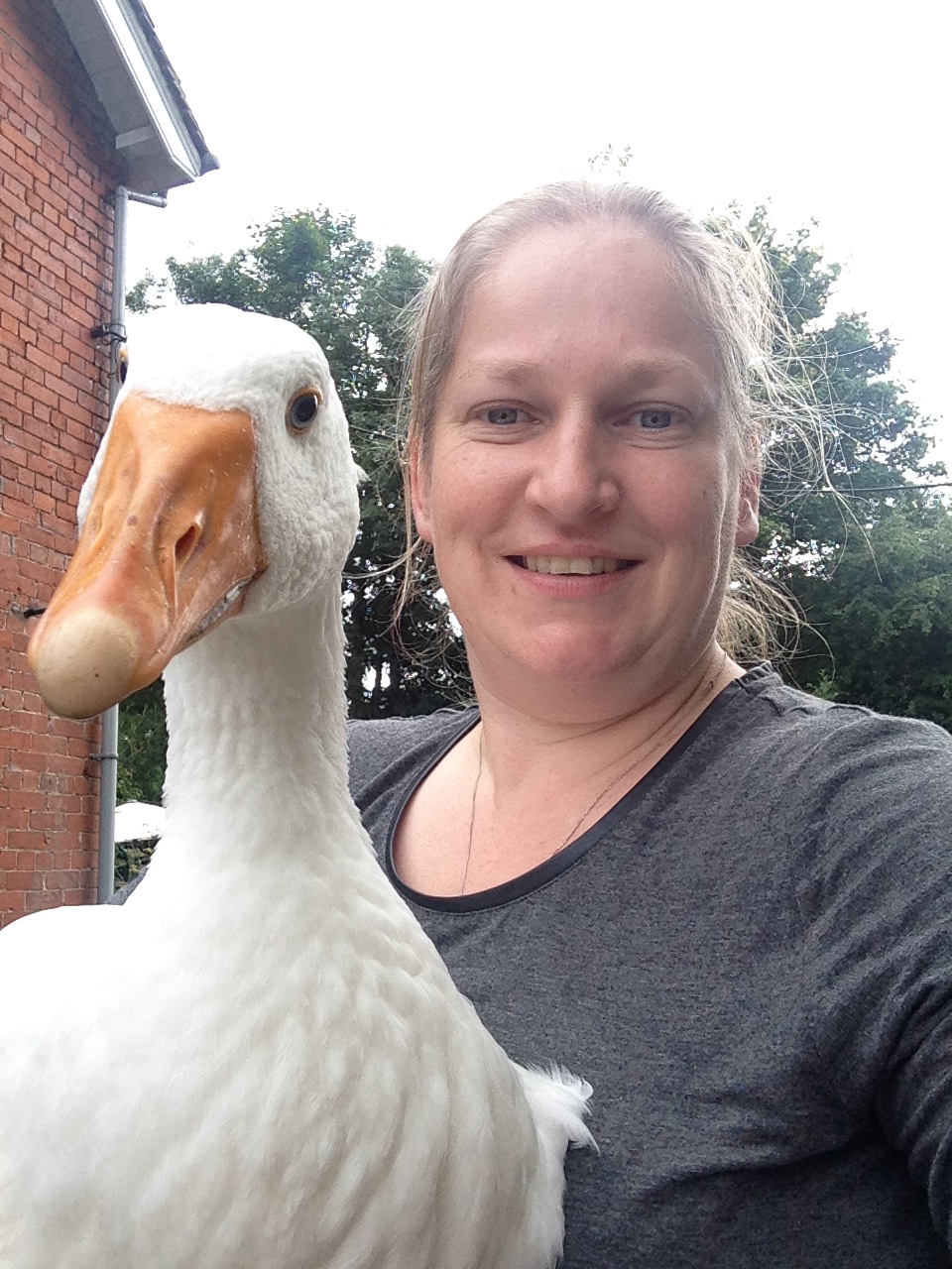 77b53d93-7d8e-41ce-8680-a846e4bab79b